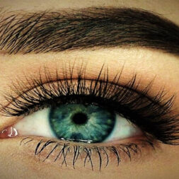 A close up of the eye with long eyelashes