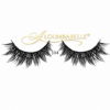 Gaby lash style 104 false lashes with protective watermark logo on white background